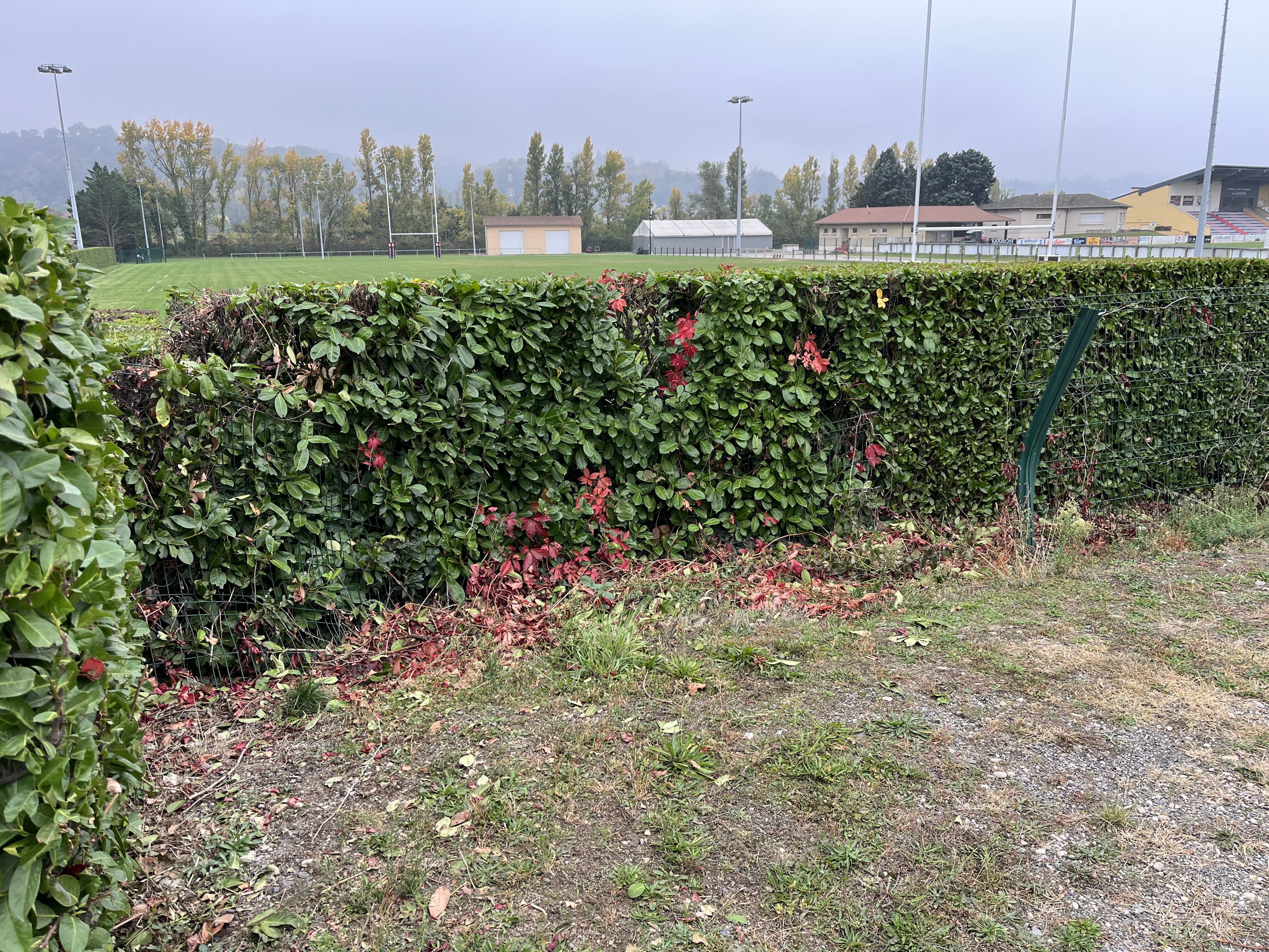 Joindre des éléments